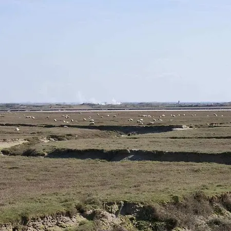 Feriehus La P